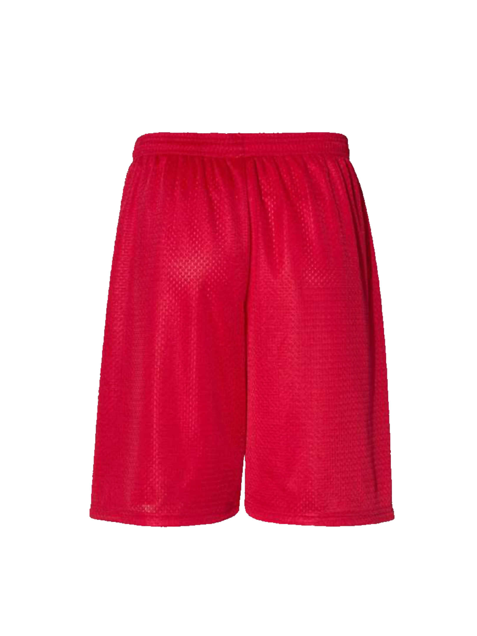 “No cig” Shorts
